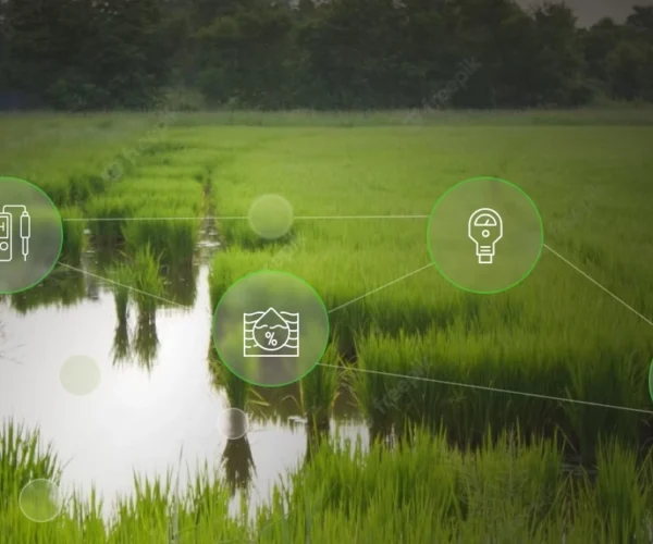 Real-time IoT Water Management Solutions