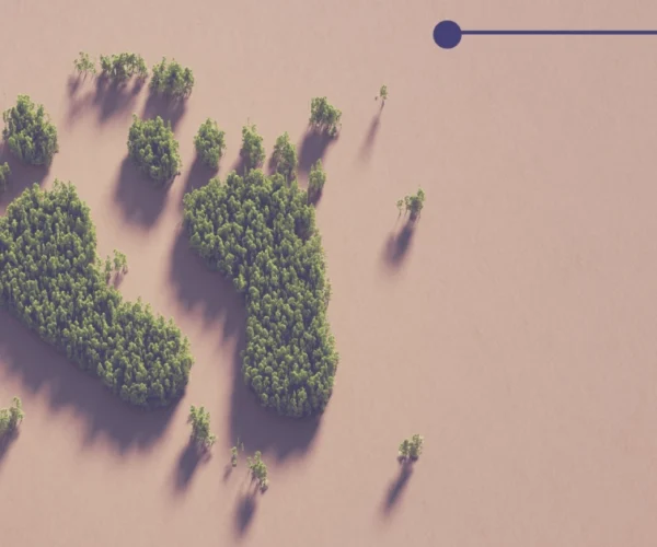 Carbon Footprint Management: Measure, Reduce, Offset
