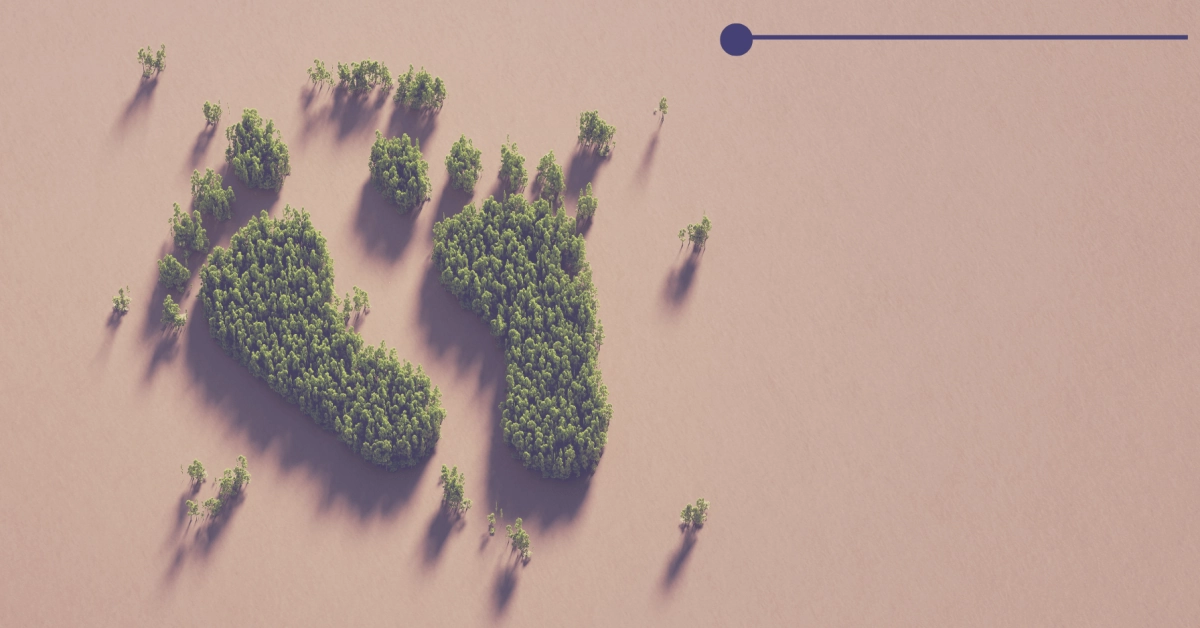 Read more about the article Carbon Footprint Management: Measure, Reduce, Offset