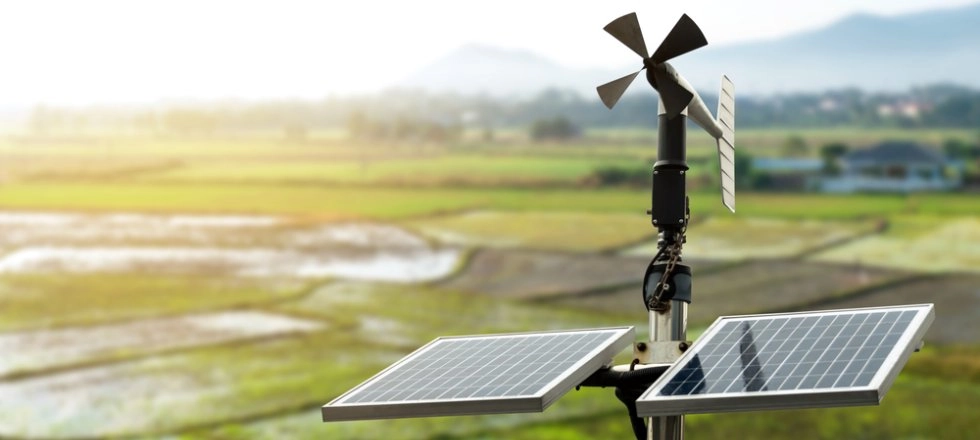 Read more about the article Smart Farming with Climate-Controlled Soil-less Chambers