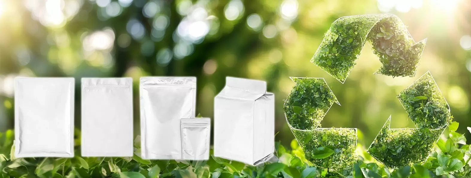 You are currently viewing Advanced Flexible Packaging for Sustainability