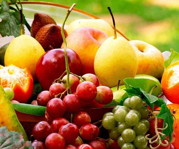 Post-Harvest Shelf Life Extension Packaging