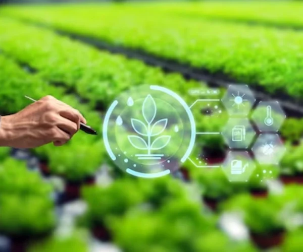 Smart Agricultural Quality Control
