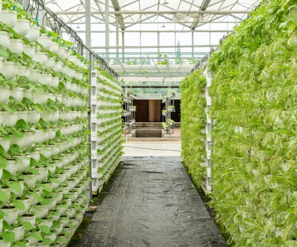 Blockchain-powered platform for farm management and carbon farming