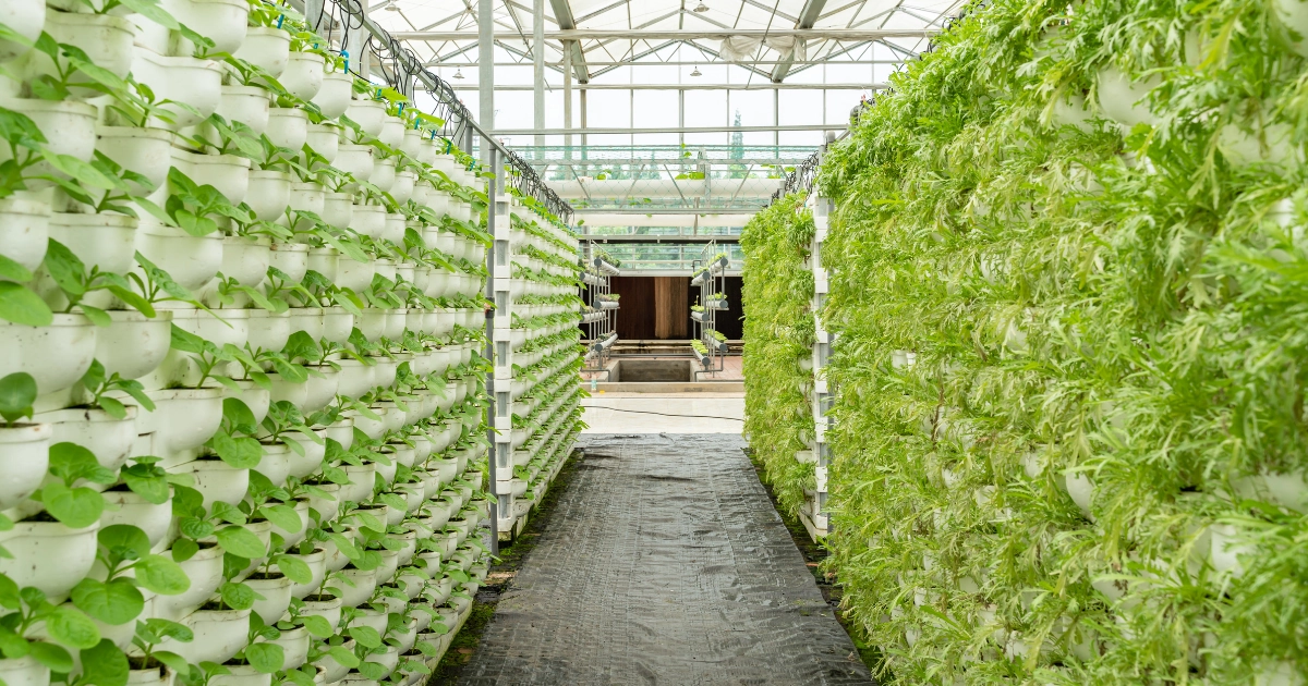You are currently viewing Blockchain-powered platform for farm management and carbon farming