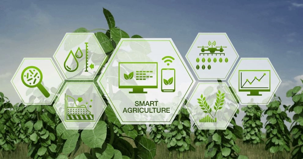 Read more about the article AI for Sustainable Farming & Supply Chain Optimization