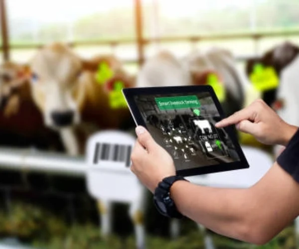 Digital Dairy Management & Financial Services
