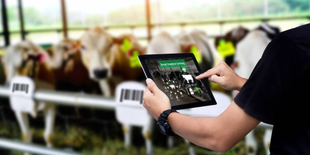 You are currently viewing Digital Dairy Management & Financial Services