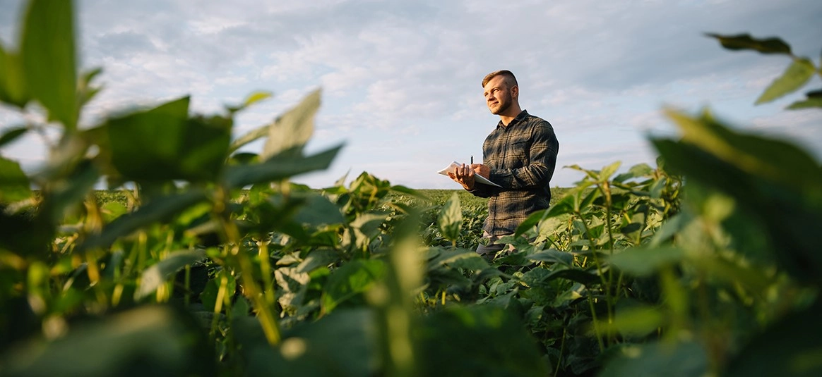 You are currently viewing Year-Round Pesticide-Free Vertical Farming Solutions