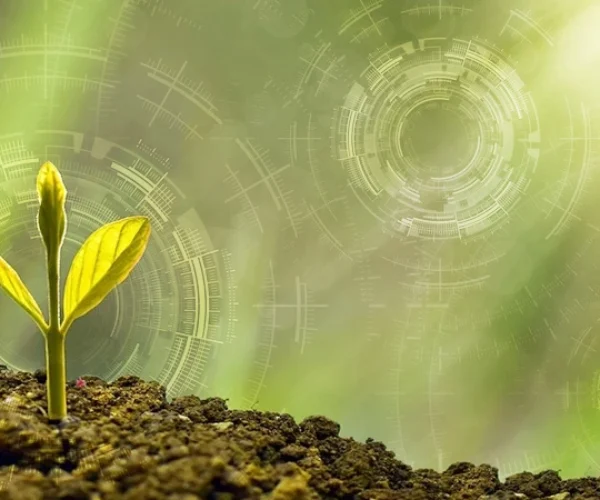 Blockchain-Powered Farm & Supply Chain Solutions