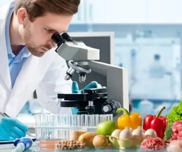 Comprehensive Food Safety Systems & Training
