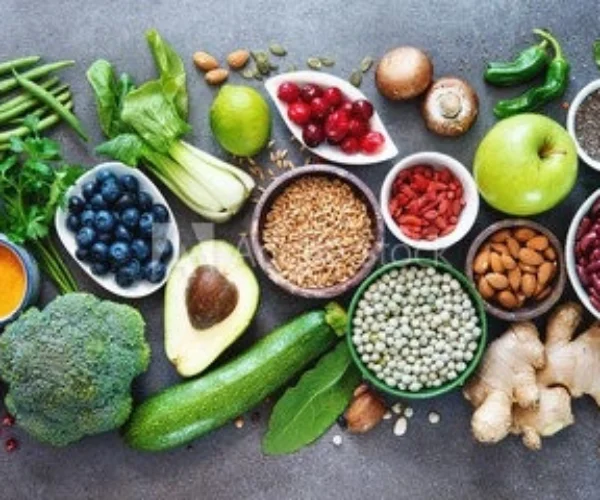 Comprehensive Food Safety Systems & Training