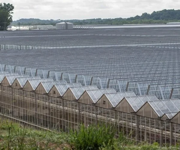 Green Fleet Solutions for Enterprises