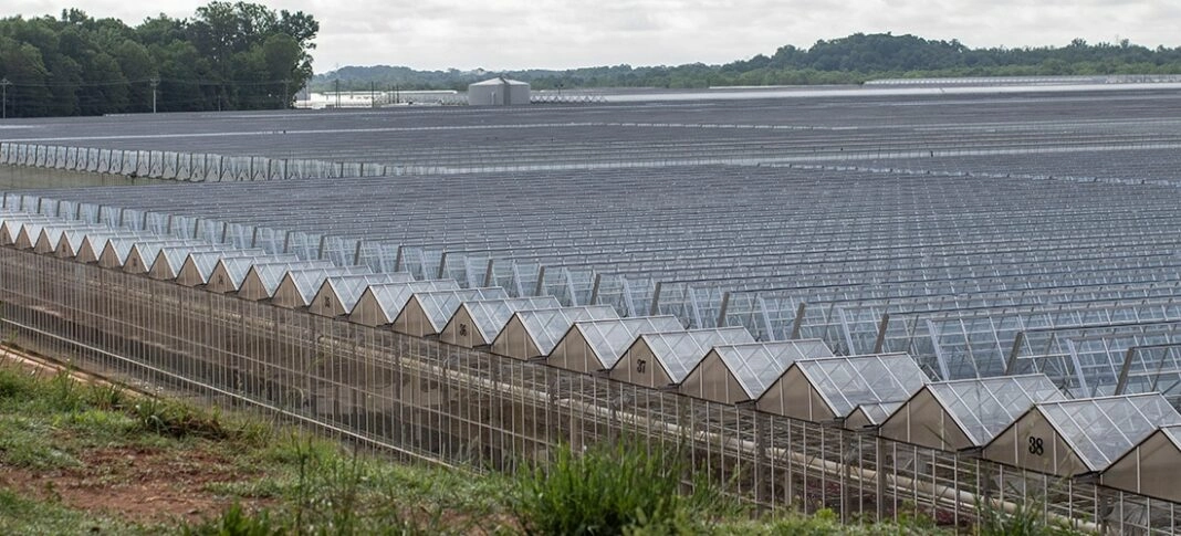 Read more about the article Green Fleet Solutions for Enterprises