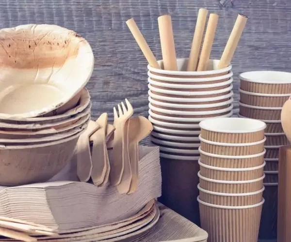 Producing eco-friendly bamboo alternatives for everyday plastic items
